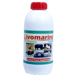 Livomarine